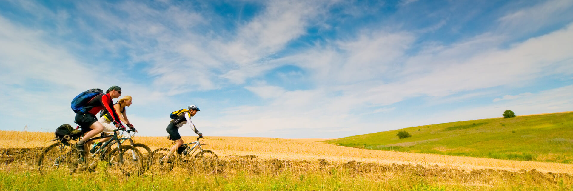 Randonnée à vélo, le long du Rhône pour tous les passionnés.