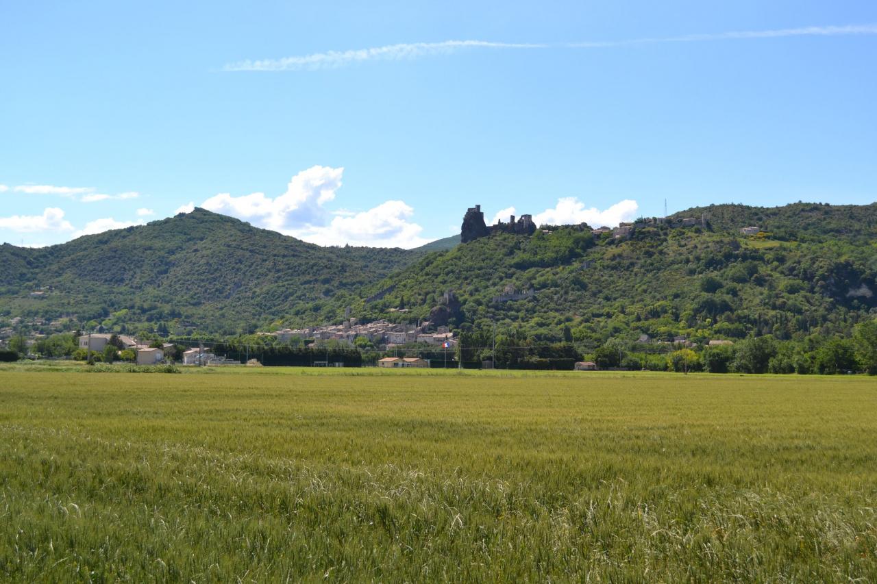 Vue du village et le Château Médieval Rochemaure
